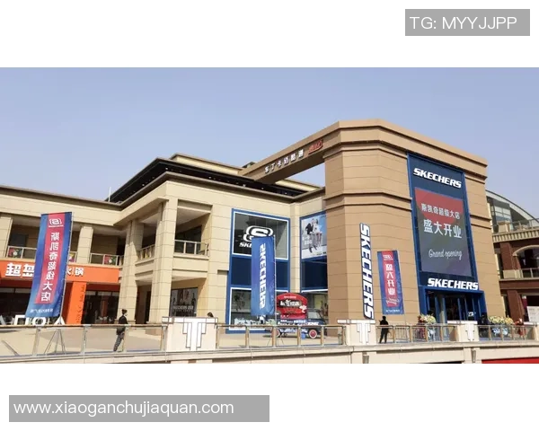 帕尼尼顶级球星卡价格分析与市场走势探讨