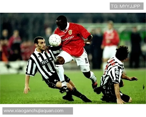 狼狗足球球星的崛起与突破探索他们在赛场上的强悍表现与精神风貌